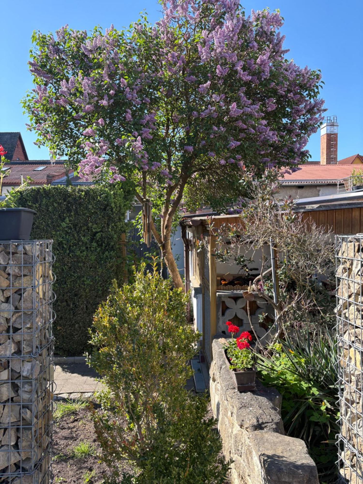Haus Hannah Meiningen Buitenkant foto