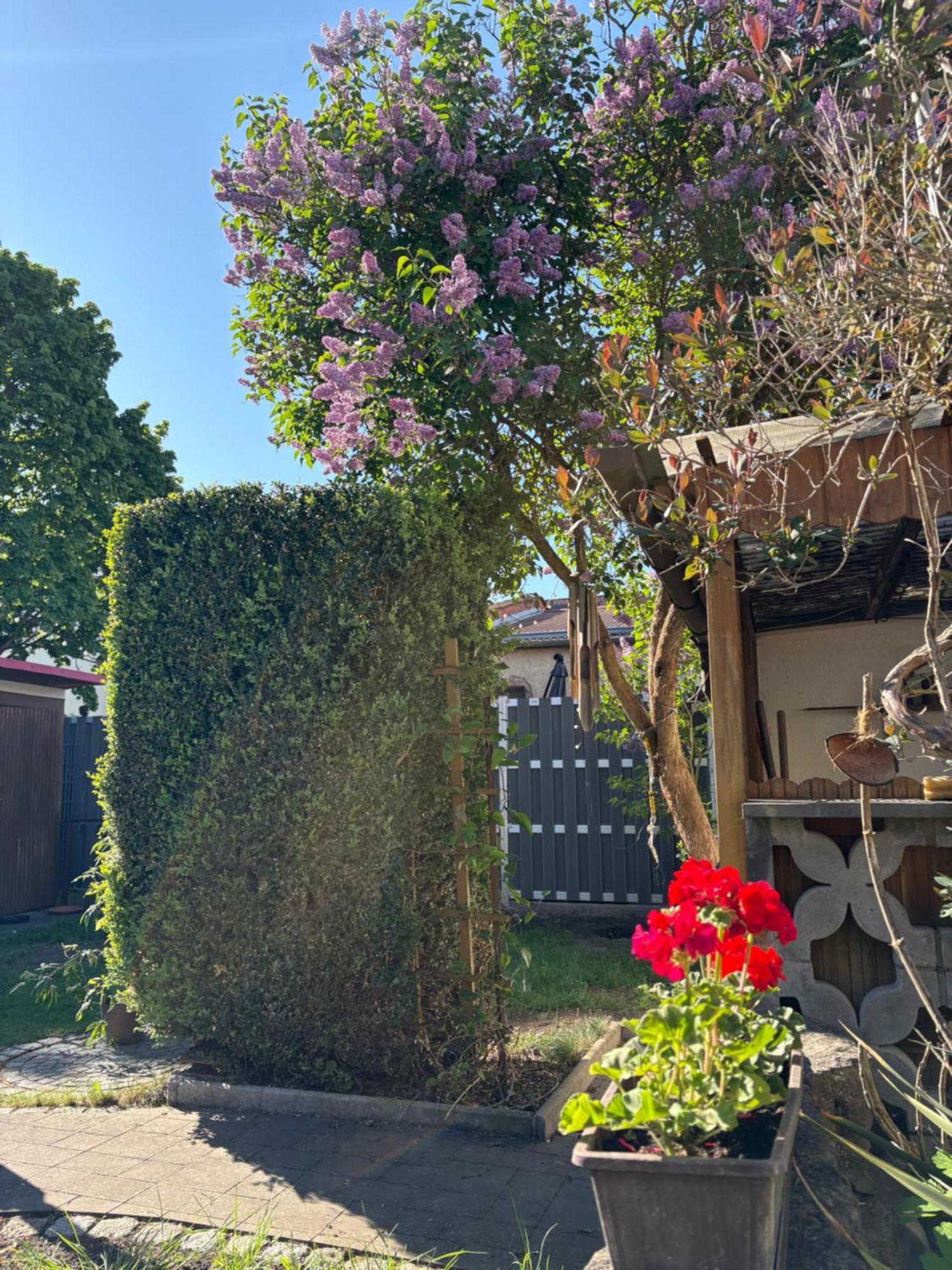 Haus Hannah Meiningen Buitenkant foto